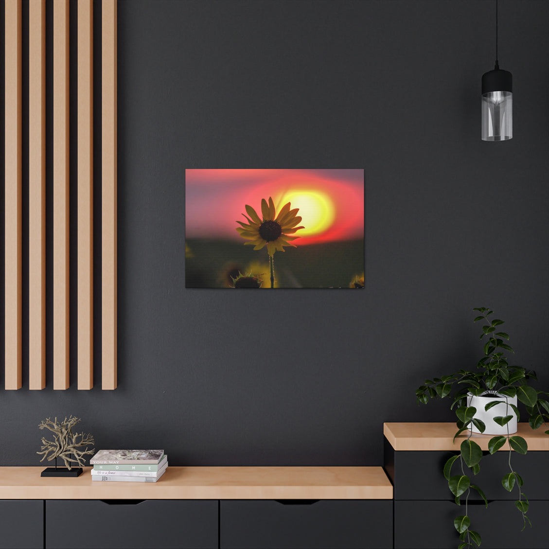 Canvas Gallery Wraps Sunflower Sunset Western South Dakota