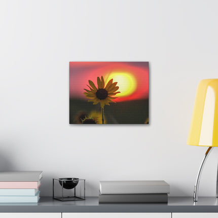 Canvas Gallery Wraps Sunflower Sunset Western South Dakota