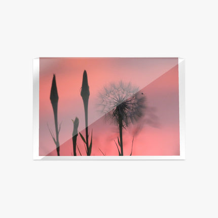 Acrylic Block - Milkweed Sunset Pink