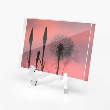 Acrylic Block - Milkweed Sunset Pink