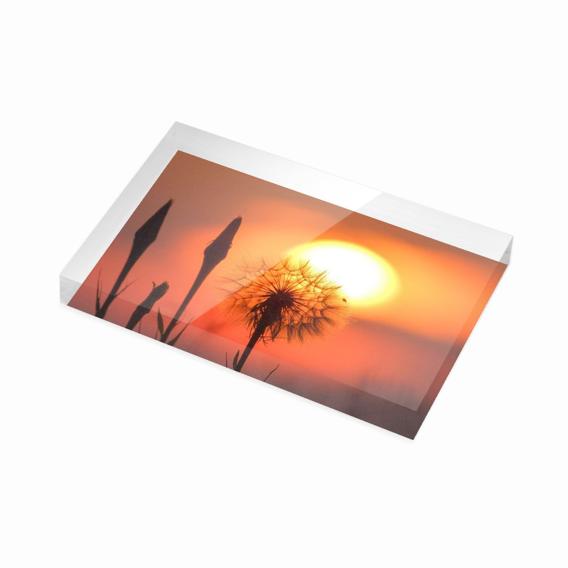 Acrylic Block - Milkweed Sunset