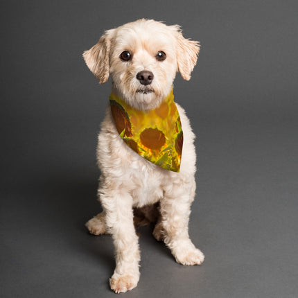 Pet Bandana Reversible Yellow Flowers Geometric ad Sunflowers