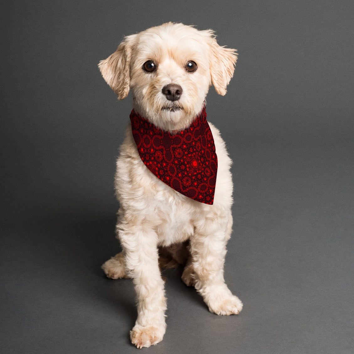 Pet Bandana Red Medallion