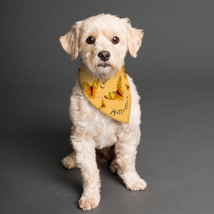 Pet Bandana Chasing Butterflies Reversible Turquoise and Orange