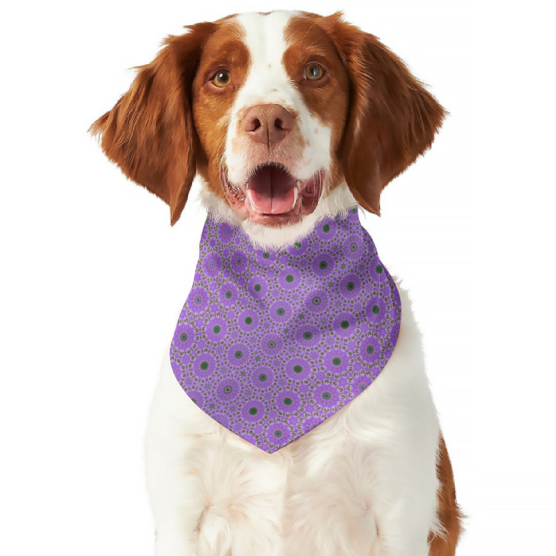 Pet Bandana Dames Rocket Reversible Purple and Blue Watercolor