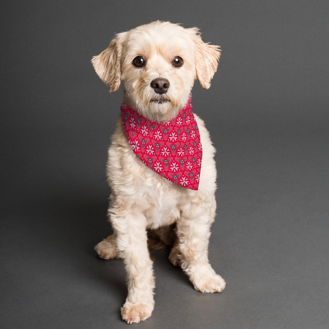 Pet Bandana Chasing Chickens Red