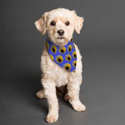 Pet Bandana Reversible Sunflower Green and Blue