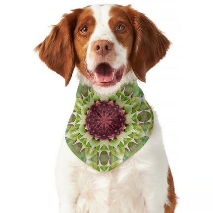 Pet Bandana Reversible Thistle