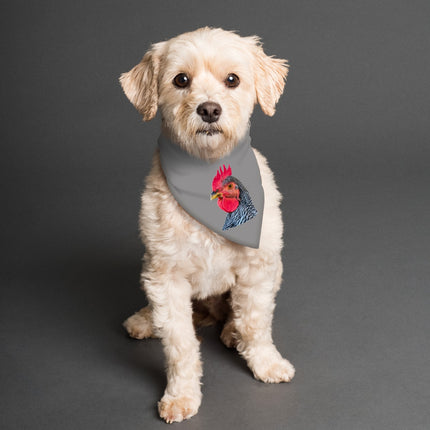 Pet Bandana Reversible Chickens