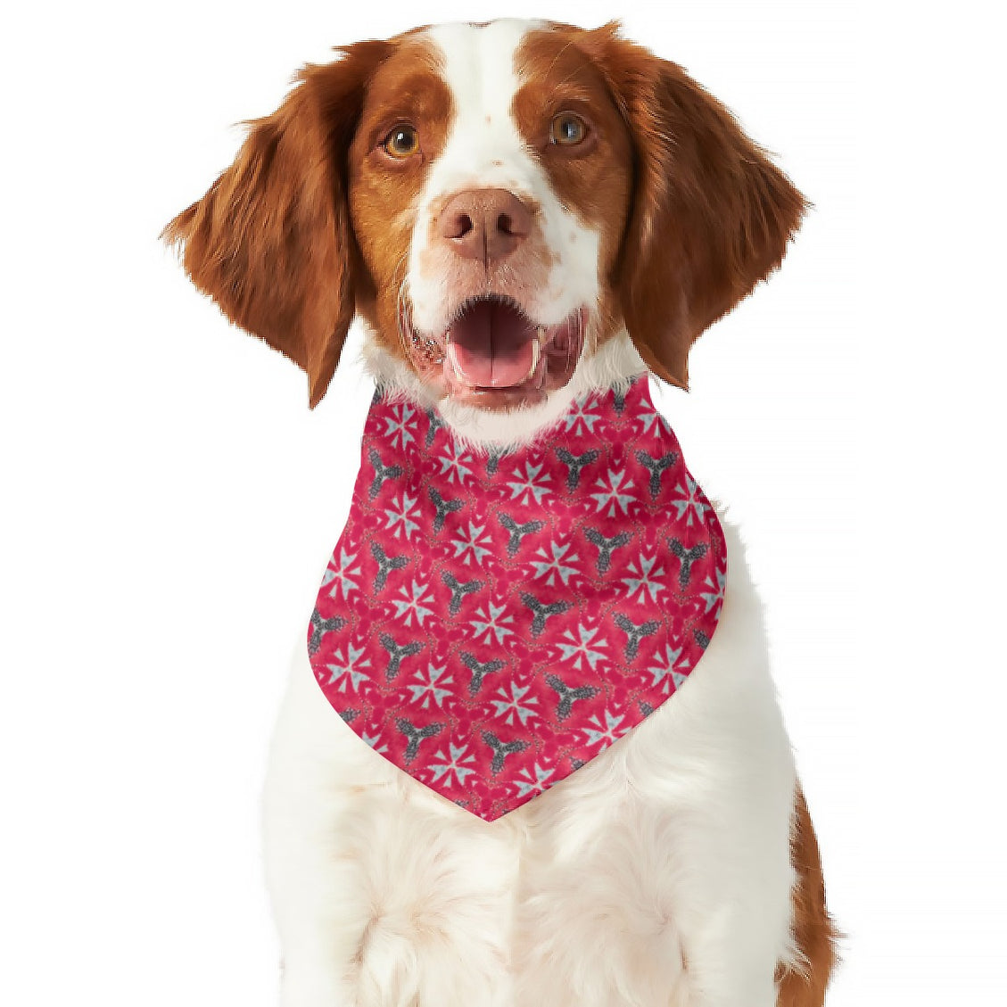 Pet Bandana Chasing Chickens Red