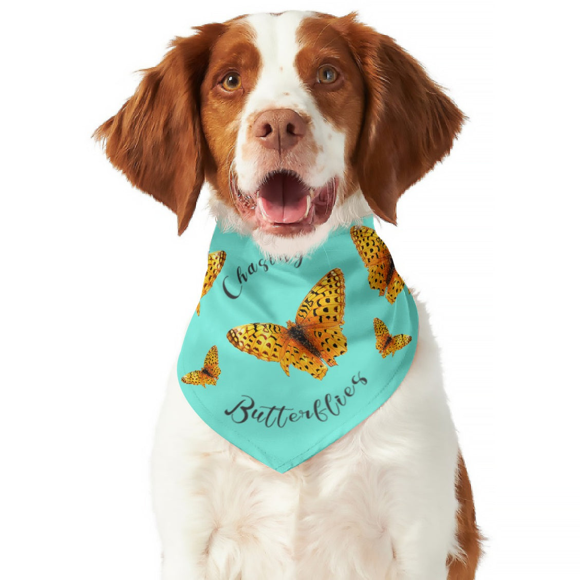 Pet Bandana Chasing Butterflies Reversible Turquoise and Orange