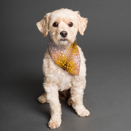 Pet Bandana Reversible Butterfly