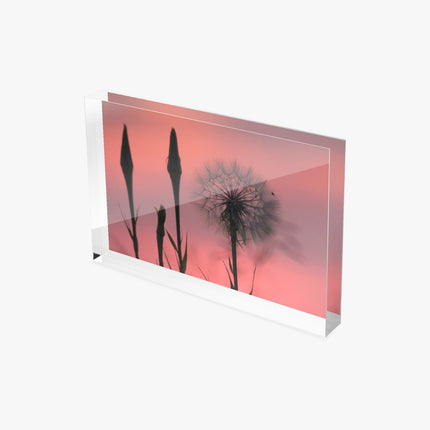 Acrylic Block - Milkweed Sunset Pink