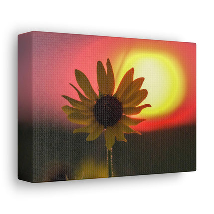 Canvas Gallery Wraps Sunflower Sunset Western South Dakota