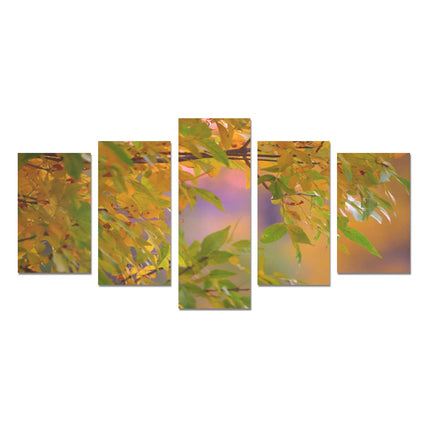 Fall Leaves Wyoming 5 Piece Wall Art Canvas