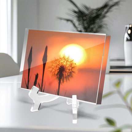 Acrylic Block - Milkweed Sunset