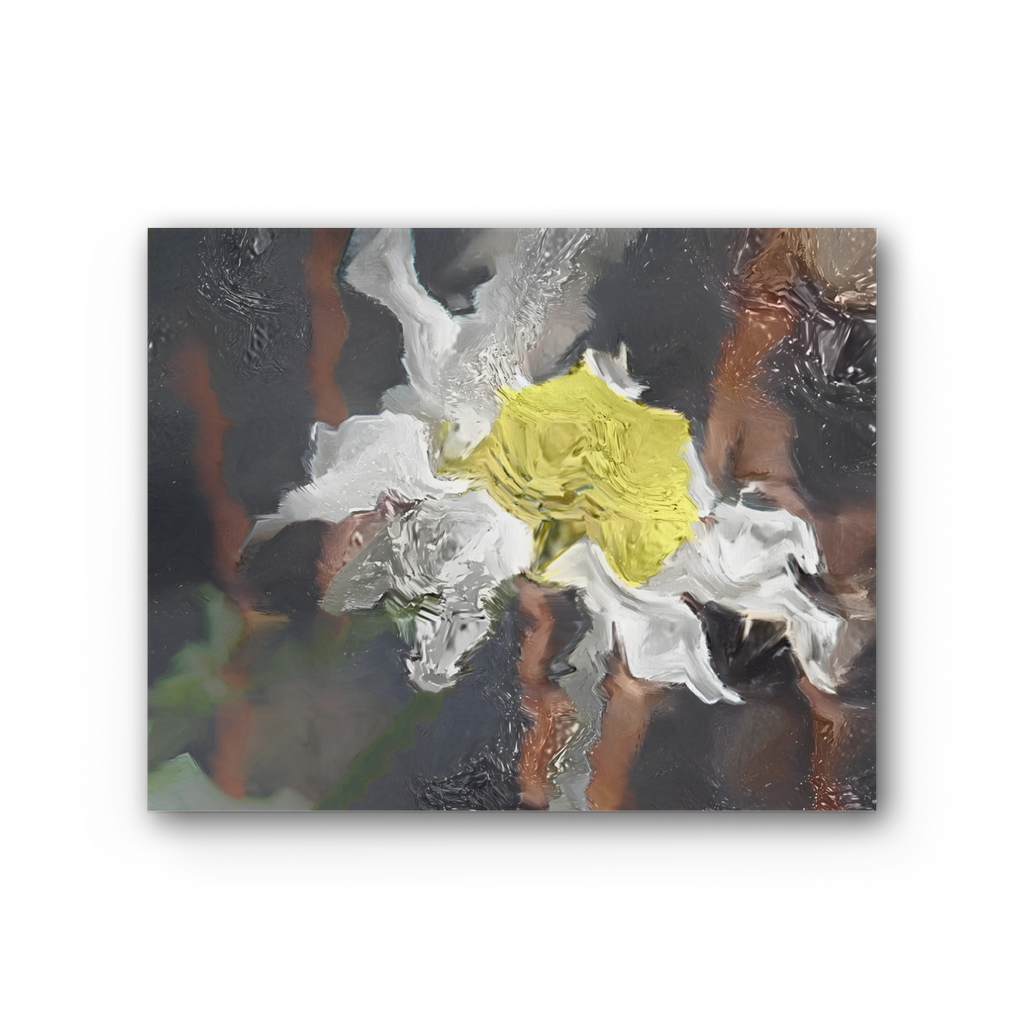 Daisy Premium Stretched Canvas