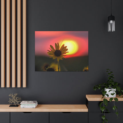 Canvas Gallery Wraps Sunflower Sunset Western South Dakota