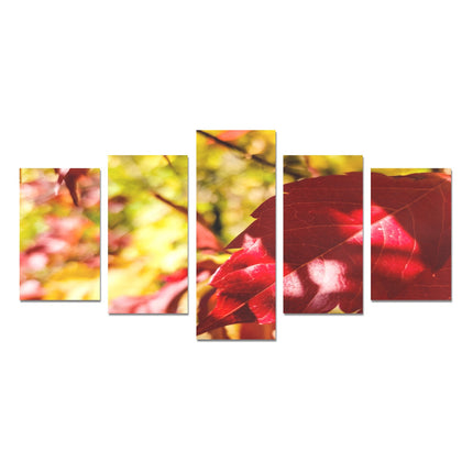 Fall Leaves Red and Gold 5 Piece Wall Art Canvas