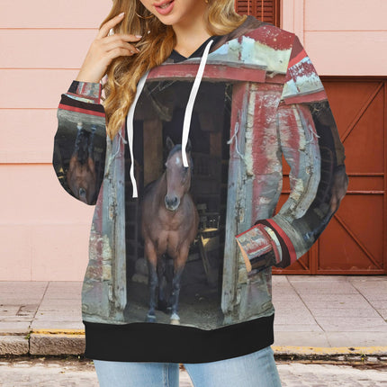 Hoodie Horse in Red Barn