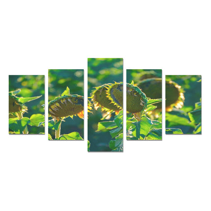 Sunflowers 5 Piece Wall Art Canvas