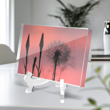 Acrylic Block - Milkweed Sunset Pink