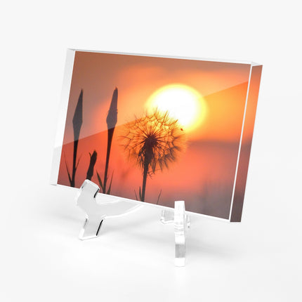 Acrylic Block - Milkweed Sunset