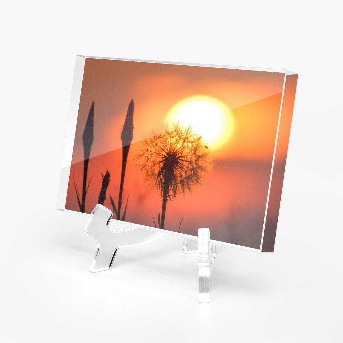 Acrylic Block - Milkweed Sunset