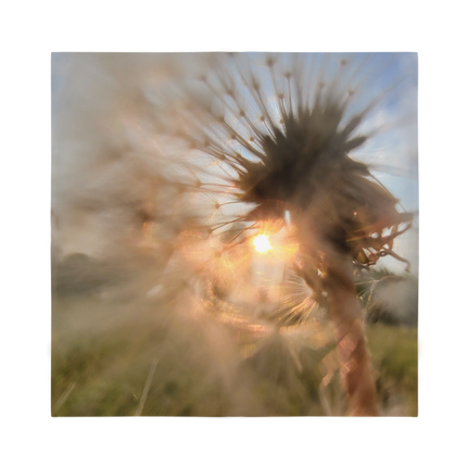 Dandelion in the Sun Sublimation Bandana