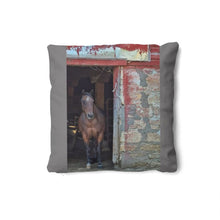 将图片加载到图库查看器，Horse in Red Barn by JVH Pillow
